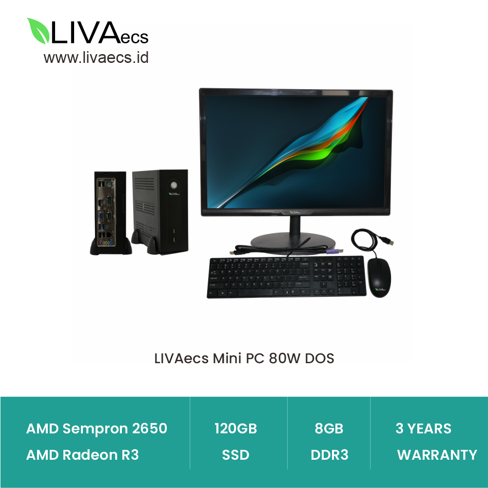 LIVAecs Mini PC 80W AMD